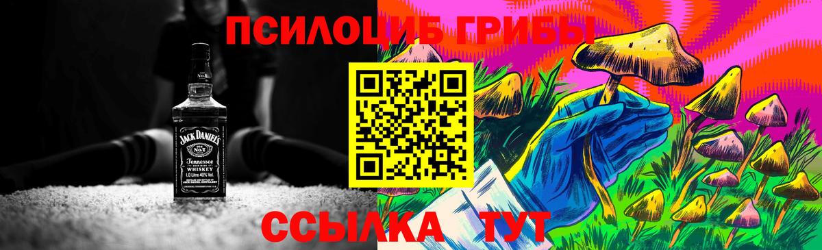 Псилоцибиновые грибы мицелий  Вход с VPN  Крымск 